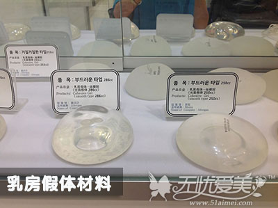 韩国BK整形博物馆为您展示乳房假体材料
