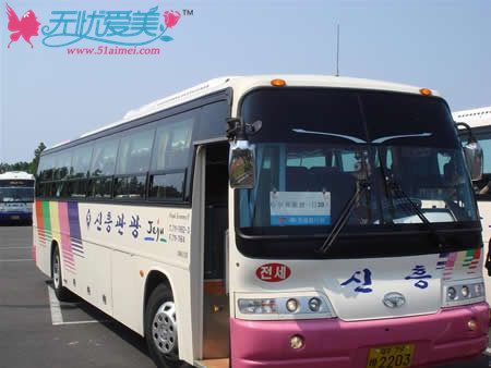 济州岛机场巴士
