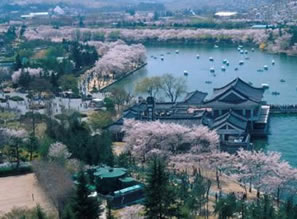韩国庆州古都景观